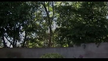 Two black teen gets fucked by the same dick